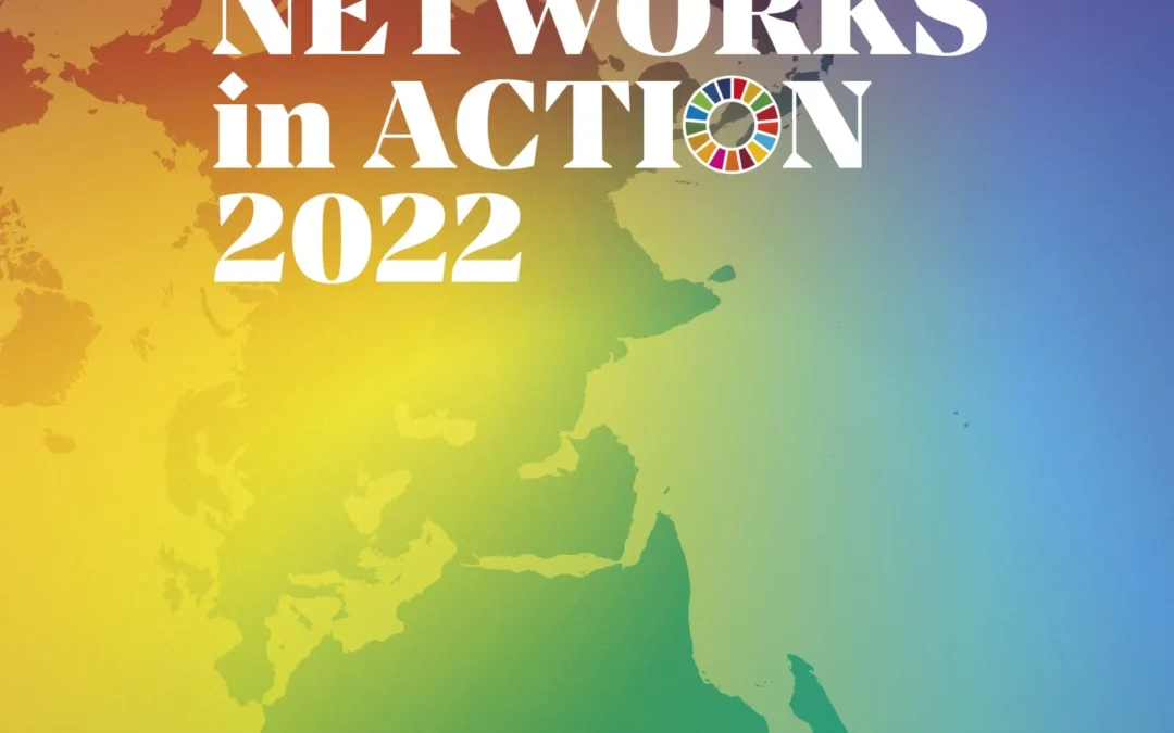 SDSN Networks in Action 2022 (PDF)