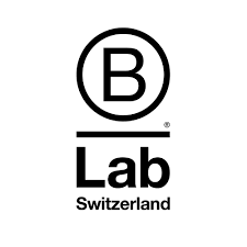 Sustainable entrepreneurship in Switzerland: The opportunity for a new legal framework